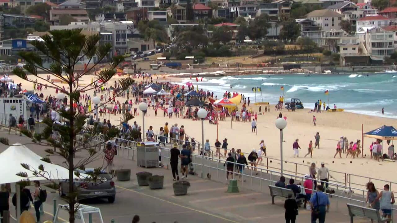 Sunseekers at Sydney's famous Bondi Beach