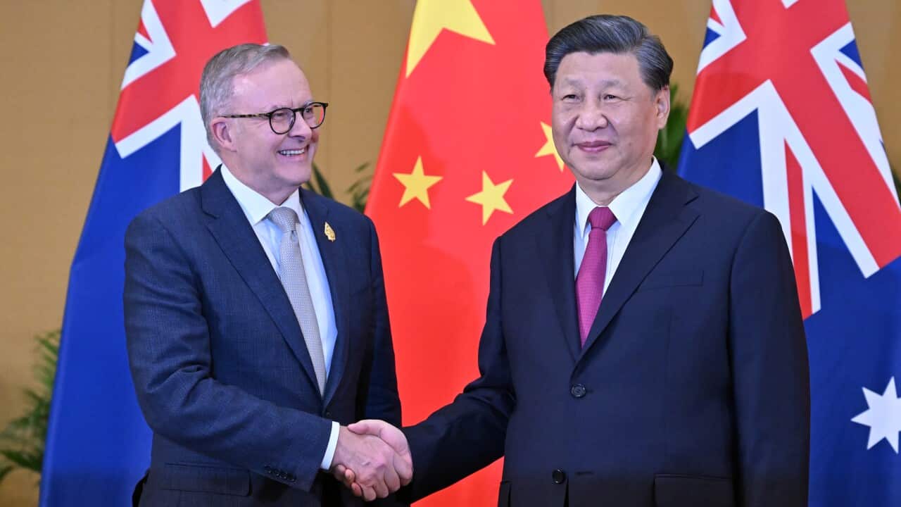 Anthony Albanese and Xi Jinping shake hands in front of the Chinese and Australia flags.