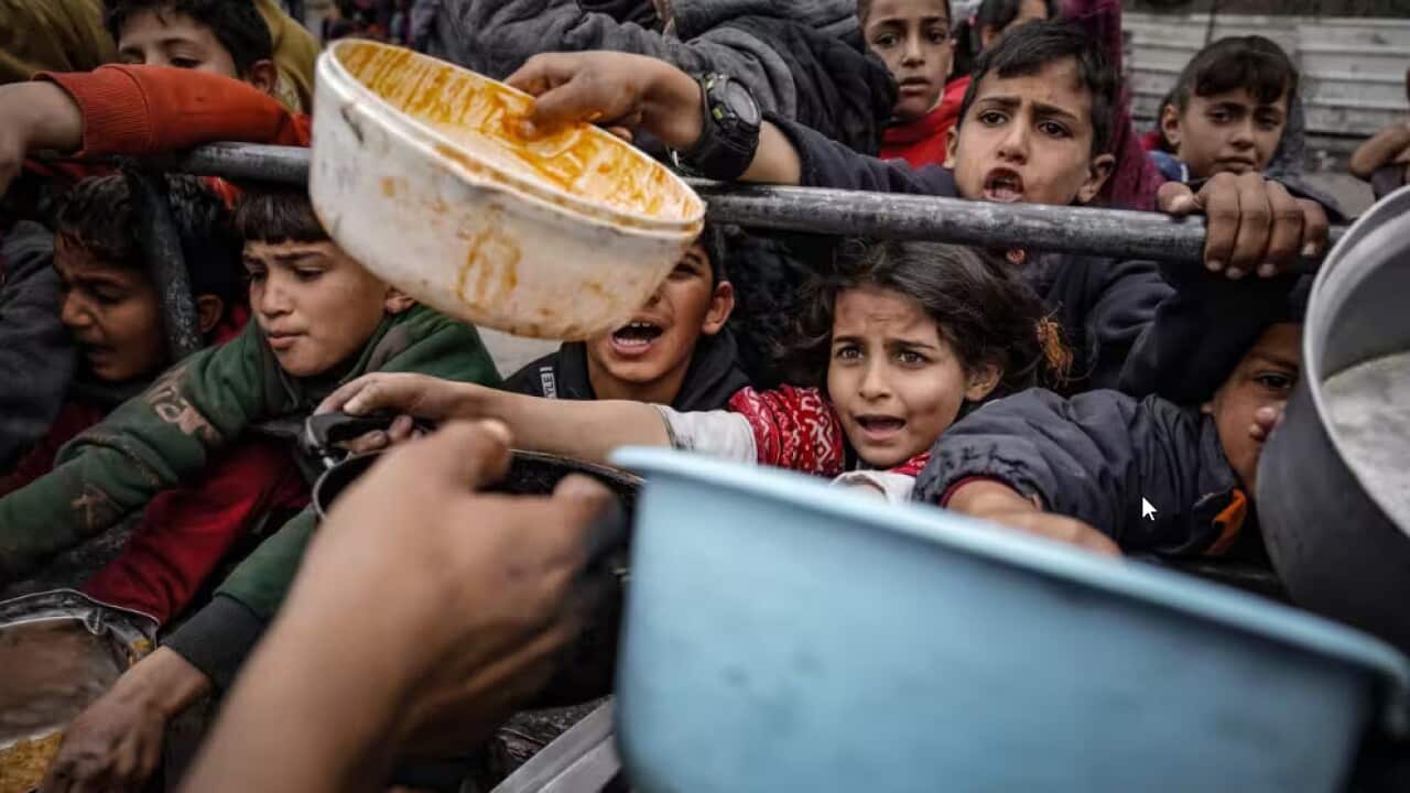 Image for read more article 'Más información:'