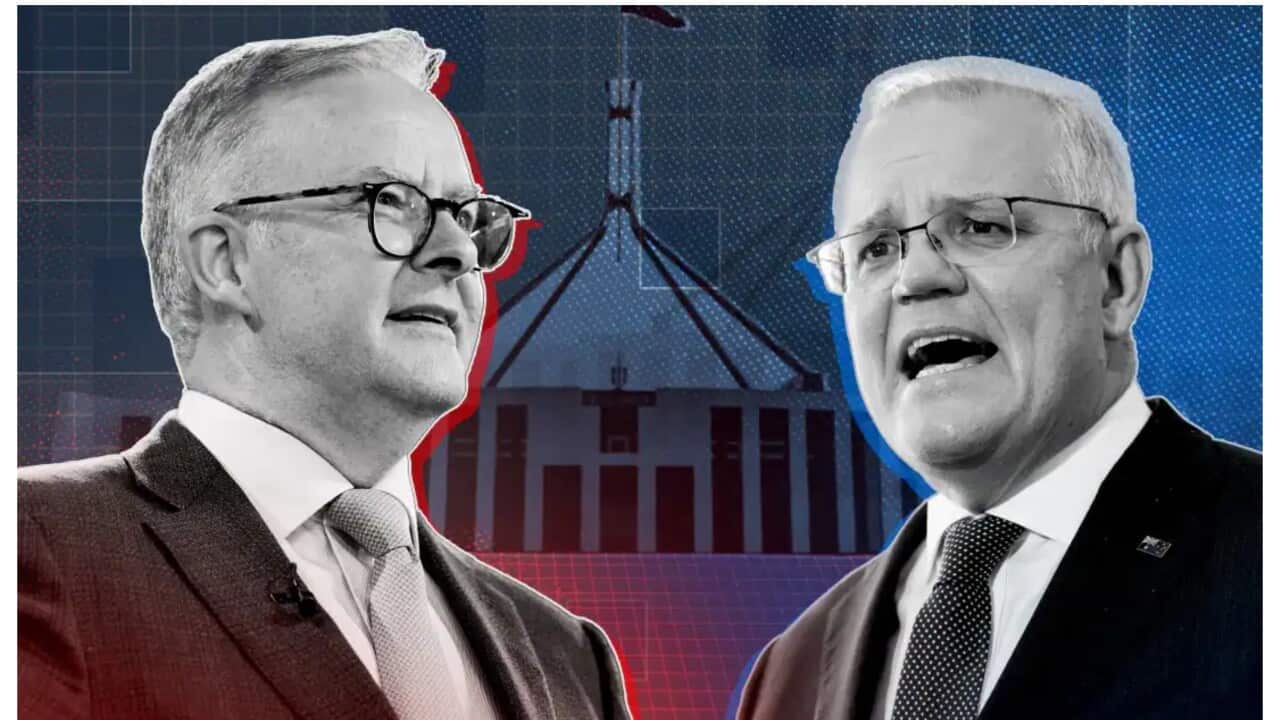 Image for read more article 'READ MORE'