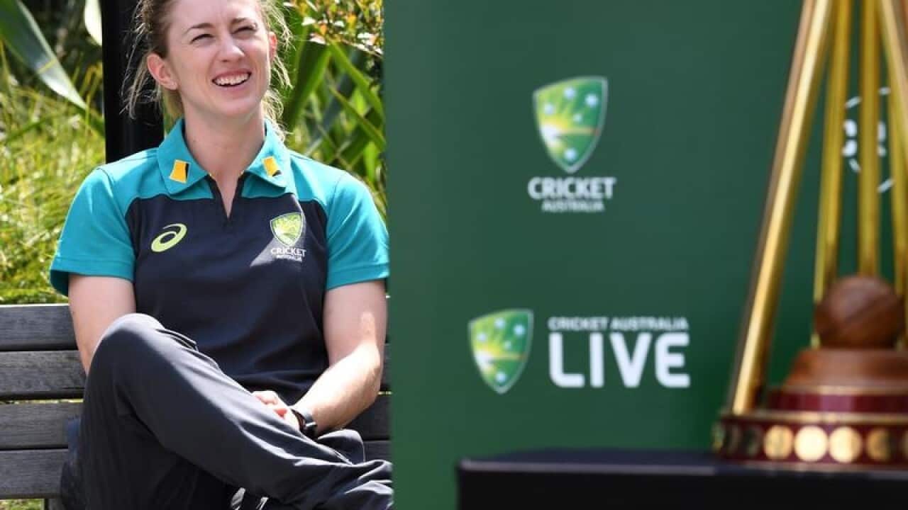 Australian cricketer Rachael Haynes