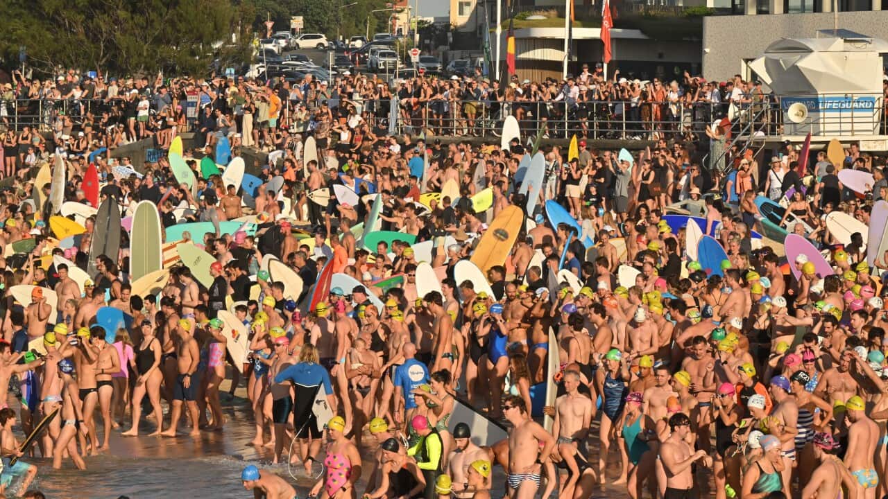 BONDI BEACH SHOOTING