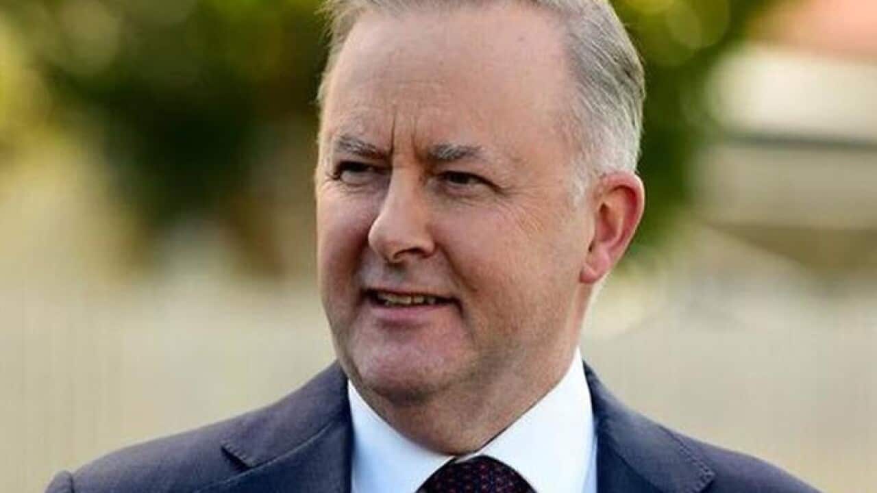Anthony Albanese