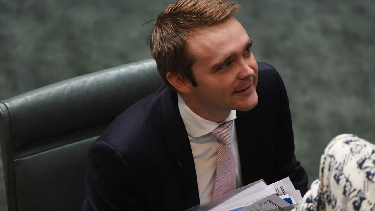 Assistant Minister for Innovation Wyatt Roy during Question Time at Parliament House in Canberra on Monday, Feb. 29, 2016. (AAP Image/Mick Tsikas) NO ARCHIVING