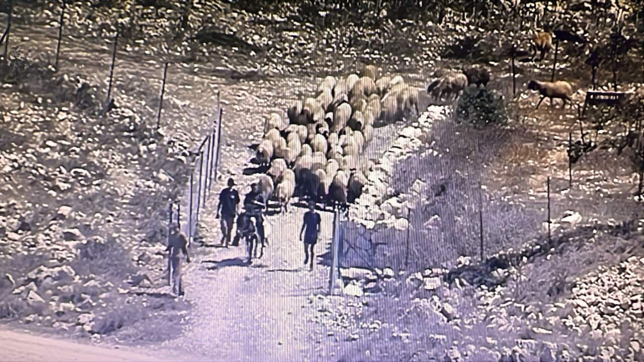 Image for read more article 'READ MORE'