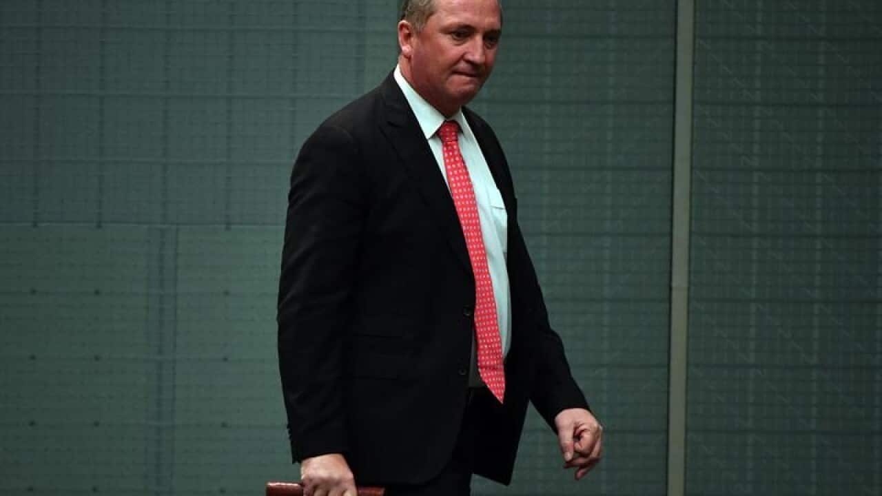 Former deputy prime minister Barnaby Joyce