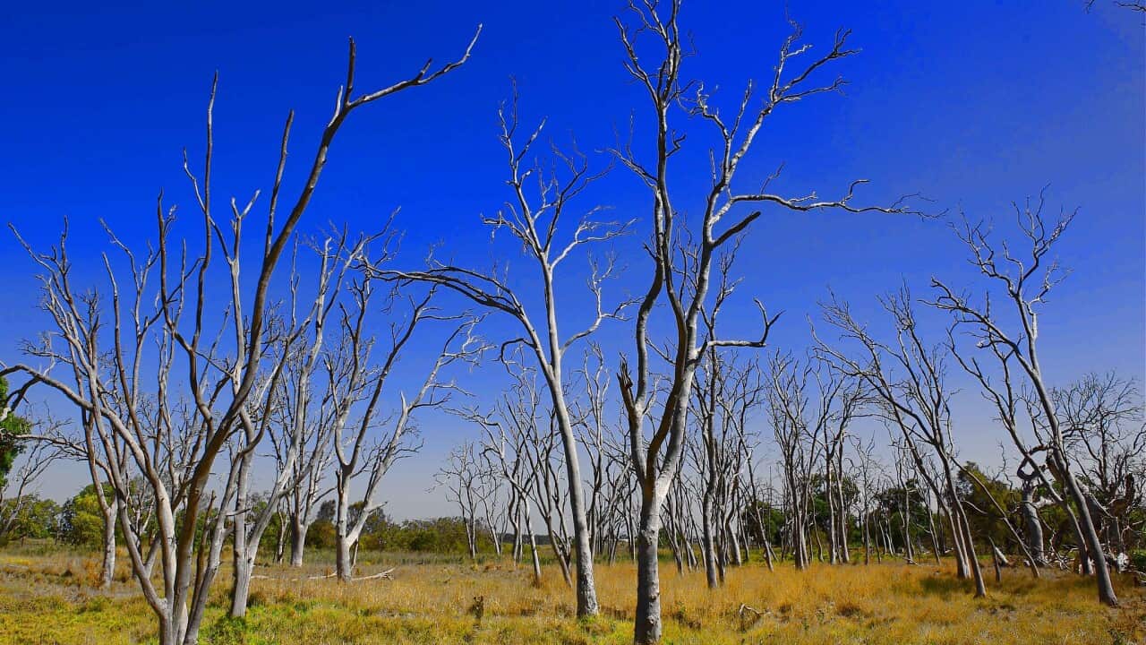 維州多個地區可能到2028 年時便需要面對水資源短缺的問題