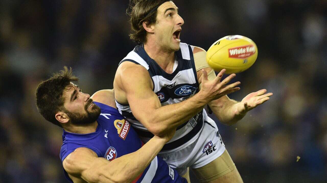 Marcus Adams of the Bulldogs (left) and Shane Kersten of the Cats