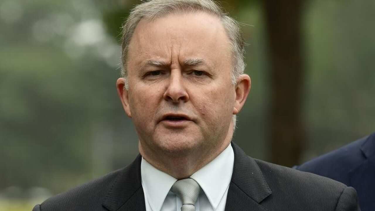 Labor Leader Anthony Albanese