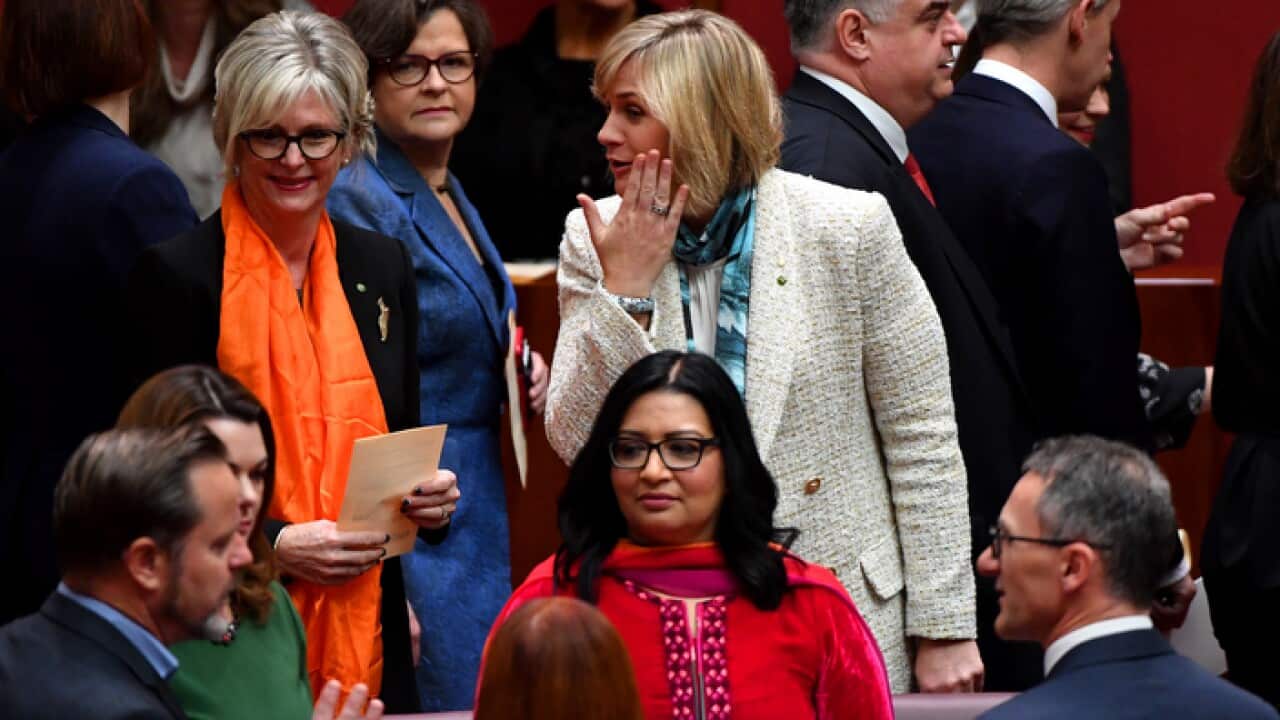 Helen Haines (L) and Zali Steggall (R) at Parliament