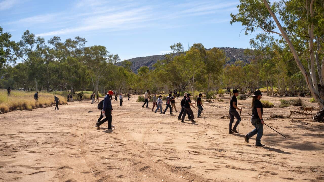 Search for a missing 5 year old girl, Sharon, is entering its fourth day. | SBS NITV Radio