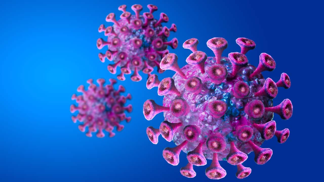 Coronavirus 2019-nCov novel coronavirus concept resposible for asian flu outbreak and coronaviruses influenza as dangerous flu strain cases as a pandemic.
