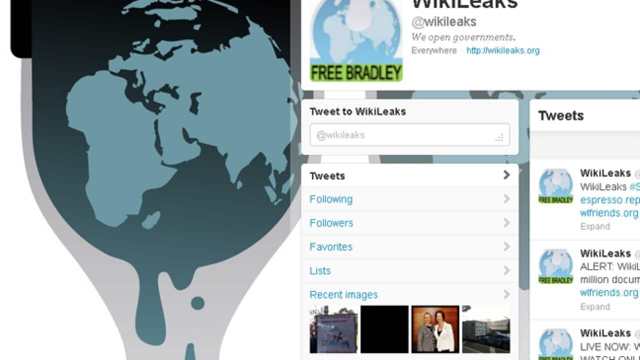 wikileaks_L_120705_328020113
