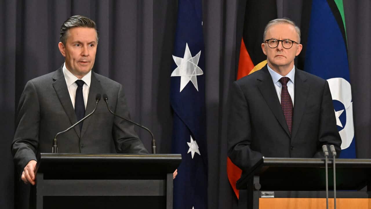 Anthony Albanese and Mark Butler at a press conference.