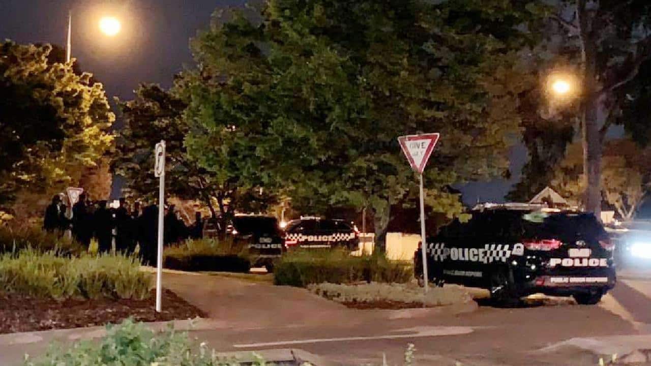 Australian-African youths terrorized train passengers in Melbourne