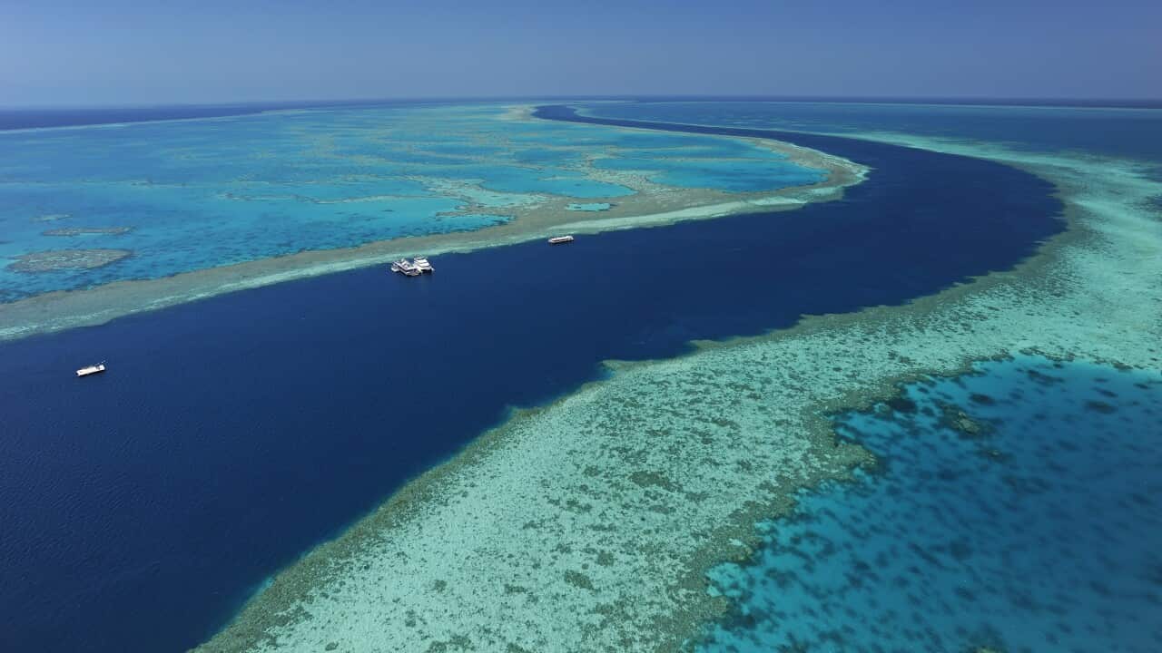 Great Barrier Reef as seen from above.