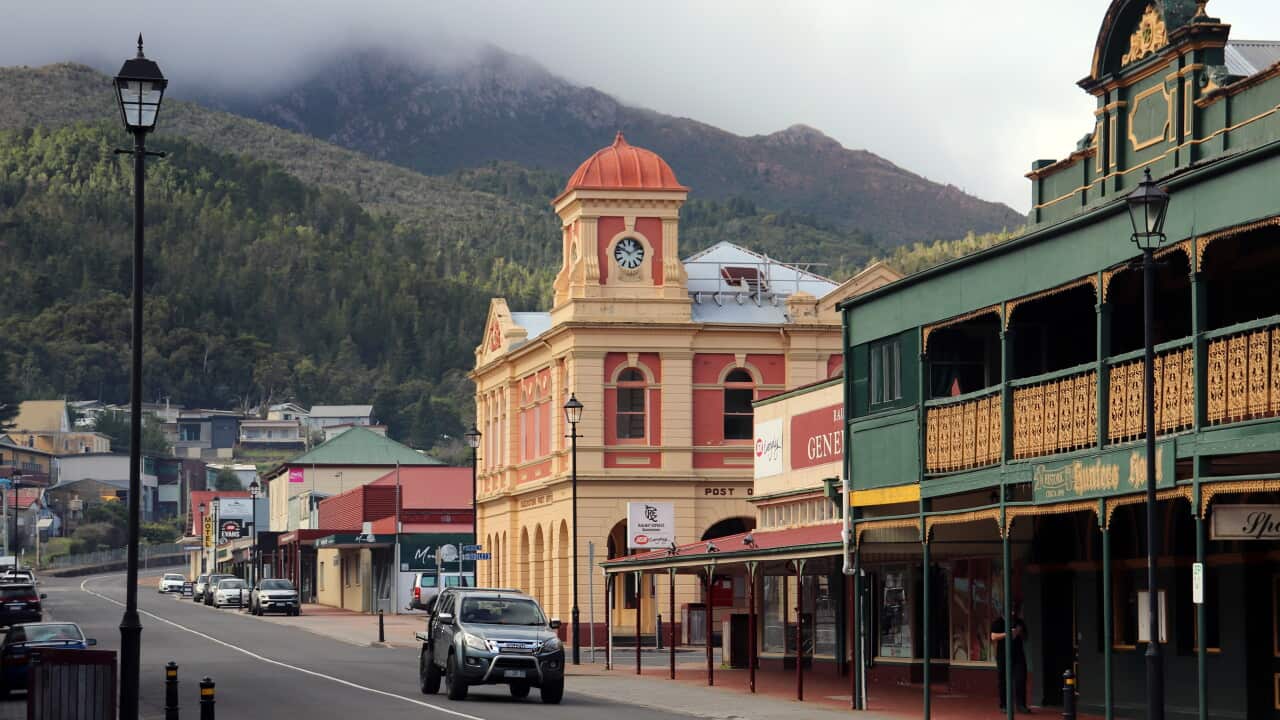 TASMANIA WEST COAST STOCK