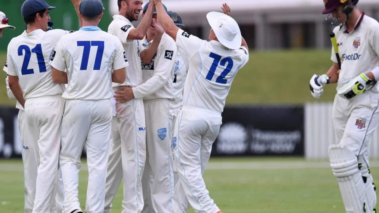 Trent Copeland celebrates with teammates during a match against QLD.