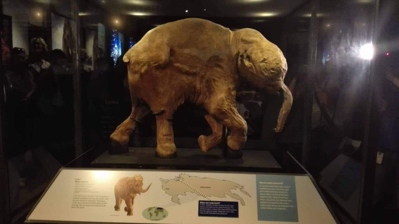 Photo by Svetlana Elgina