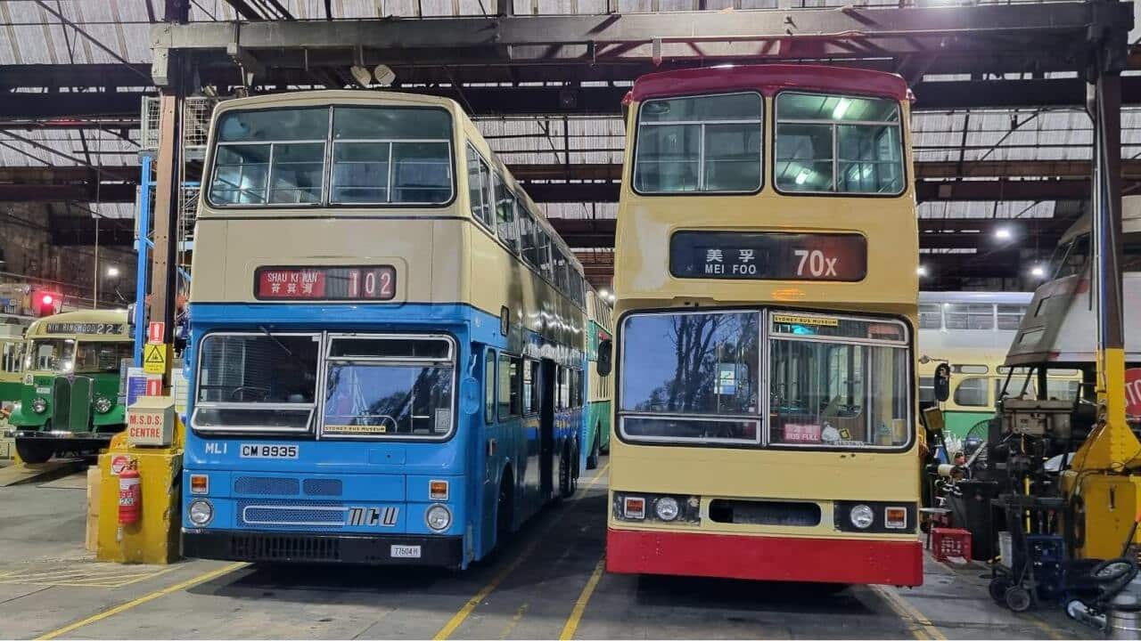 巴士日 631177367_1361178686051330_4484567086342509827_n.jpg