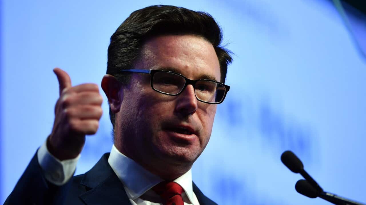 Minister for Agriculture David Littleproud