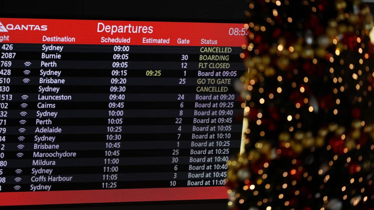 A Qantas flight signboard next to a lit Christmas tree.