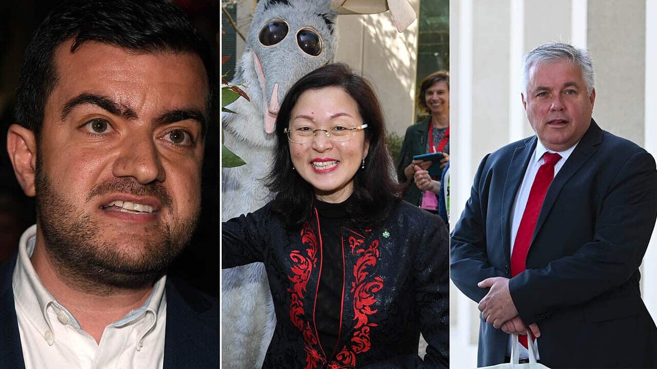 Gladys Liu is under pressure after admitting she was a member of Chinese propaganda organisations.