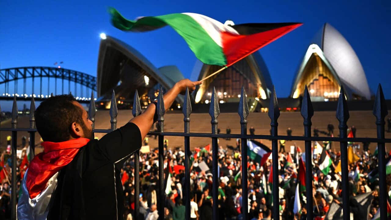 A large group of protesters on the Opera House forecourt, many waving Palestinian flags.