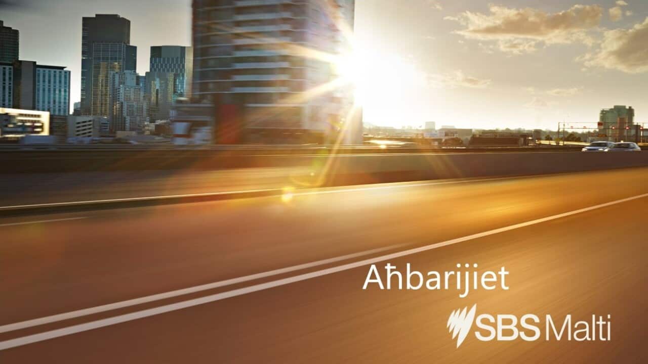 Sunrise SBS Maltese 2.jpg