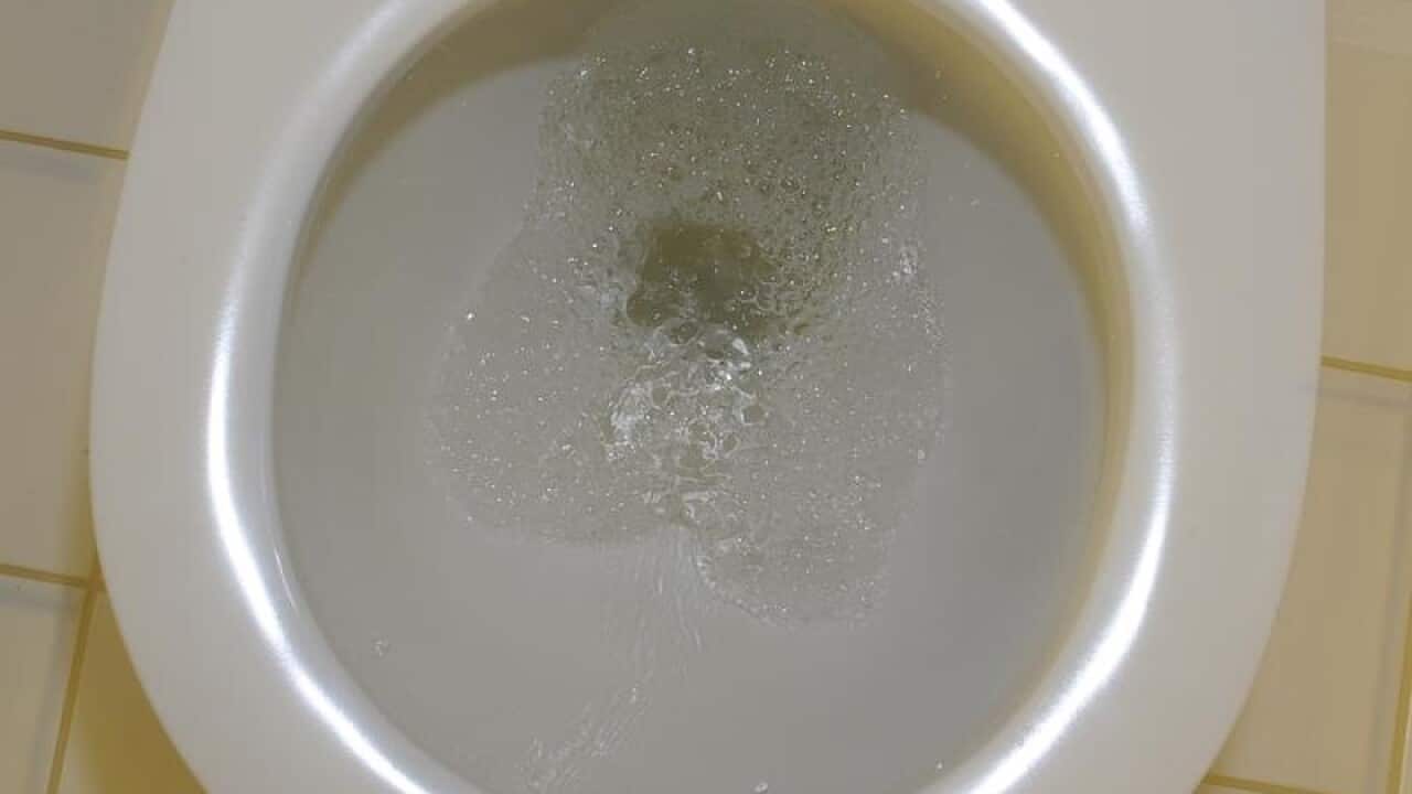 A toilet being flushed (file image)