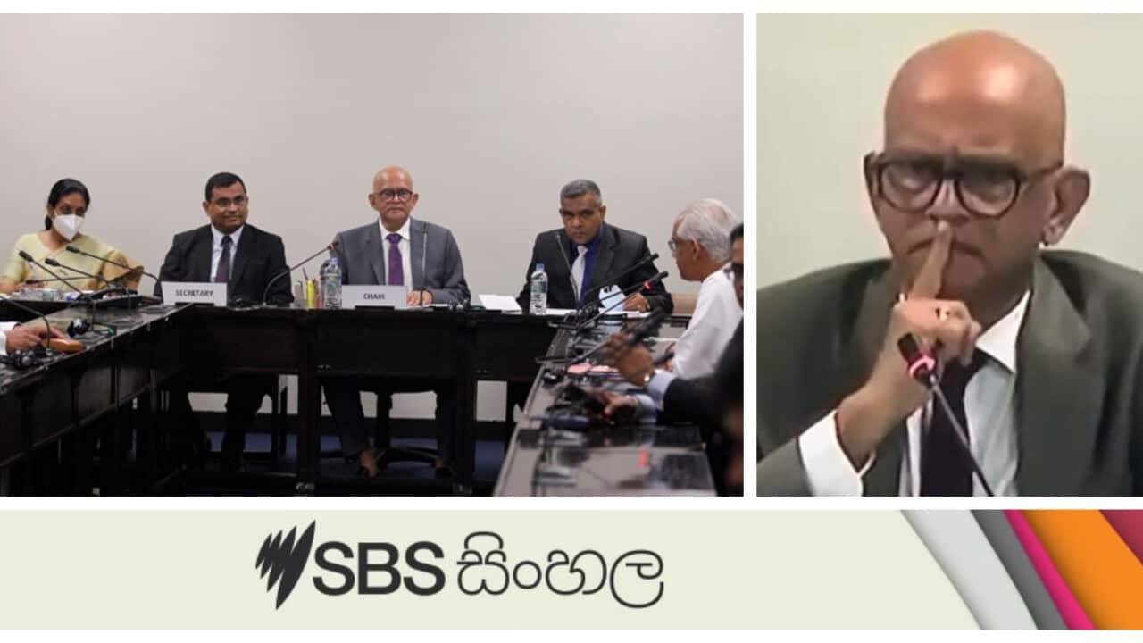 The former chairman who gave hand signals when the cricket authorities were called to the Cope Committee has been re-appointed