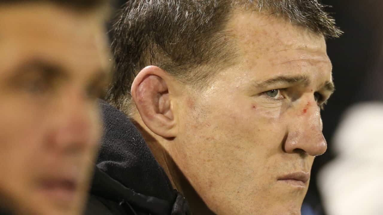 Sharks captain Paul Gallen