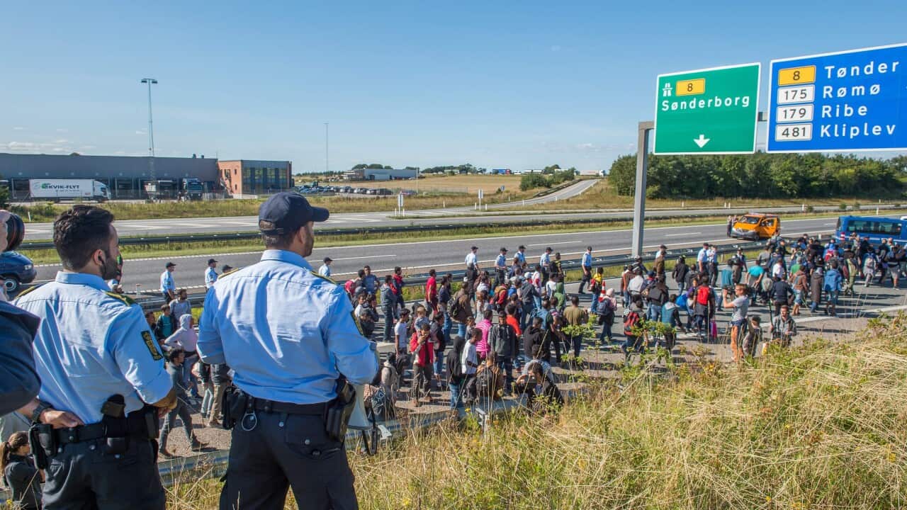 Policemen watch as migrants walk along a highway in Denmark