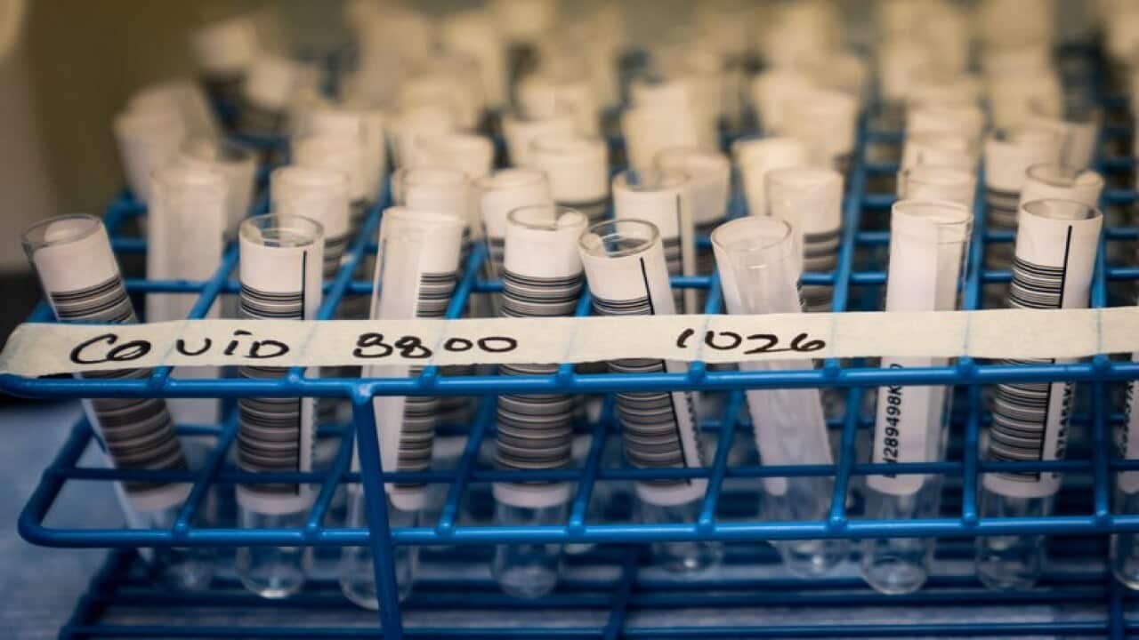 The experimental vaccine has been successfully trialled in monkeys.