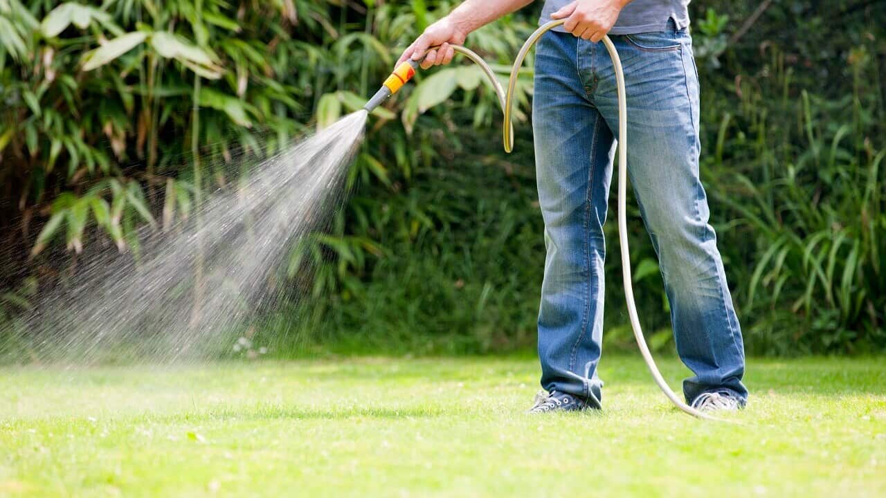 water restriction are now in place in Sydney.