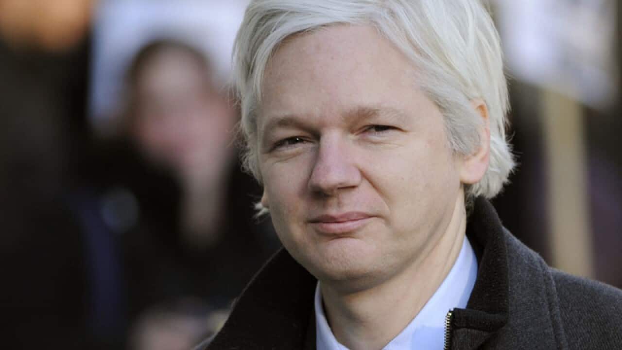 Assange faces tough choice: lawyer