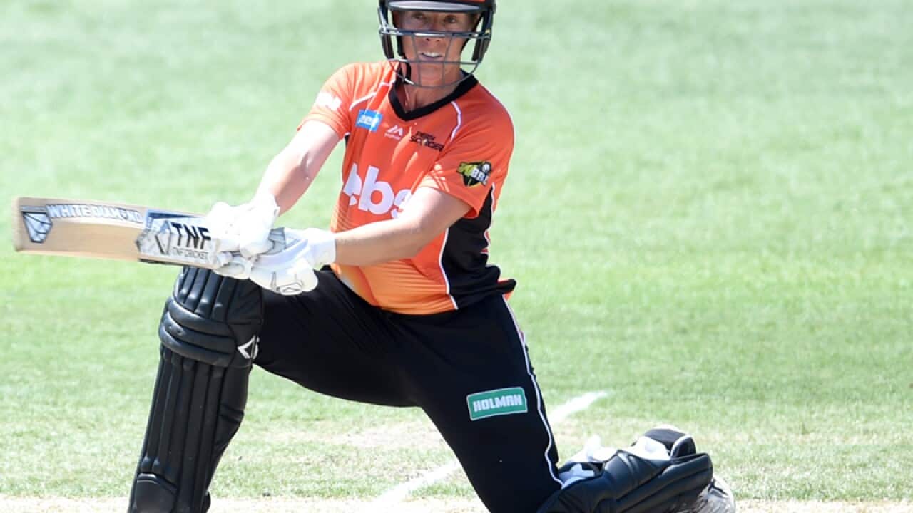 Elyse Villani of the Scorchers