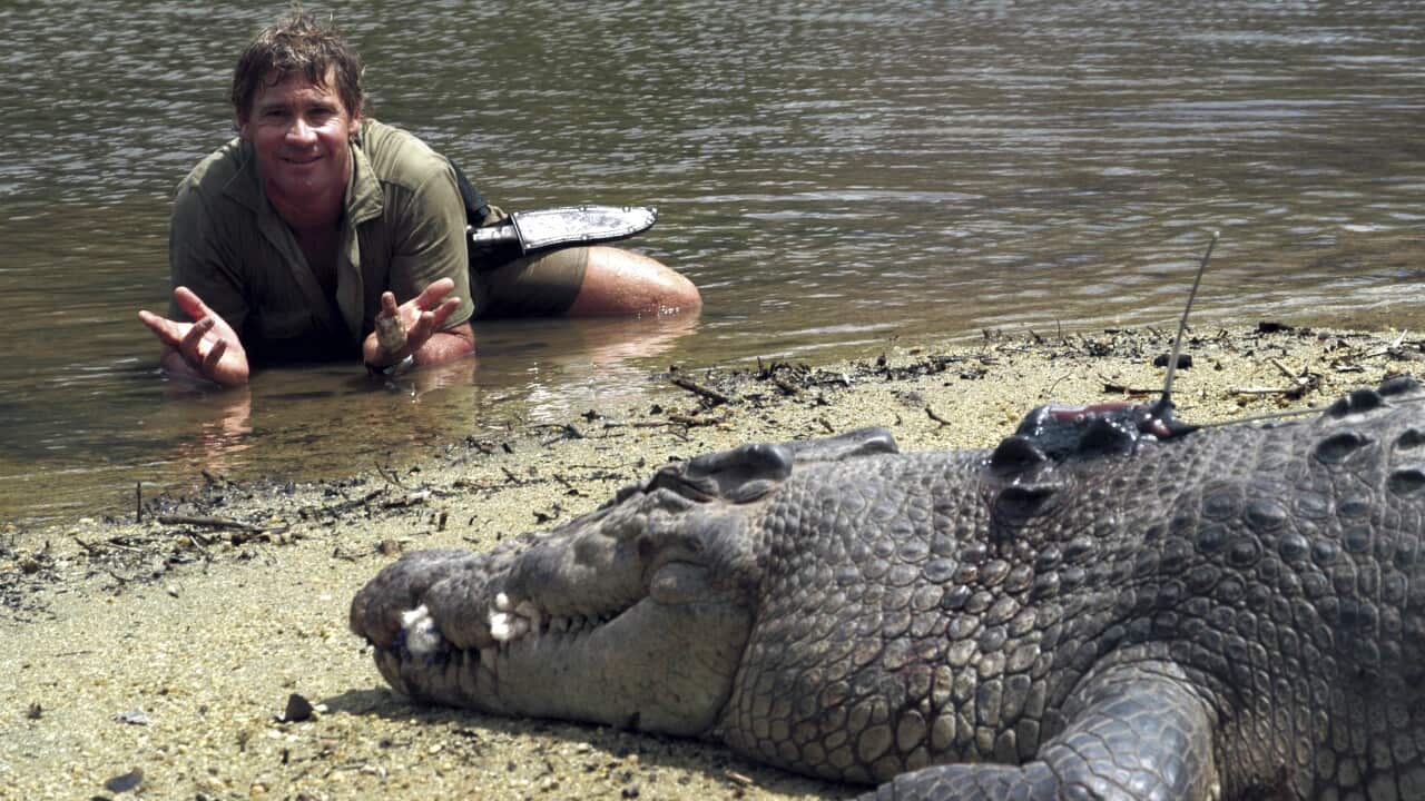 Australia Zoo Imagery