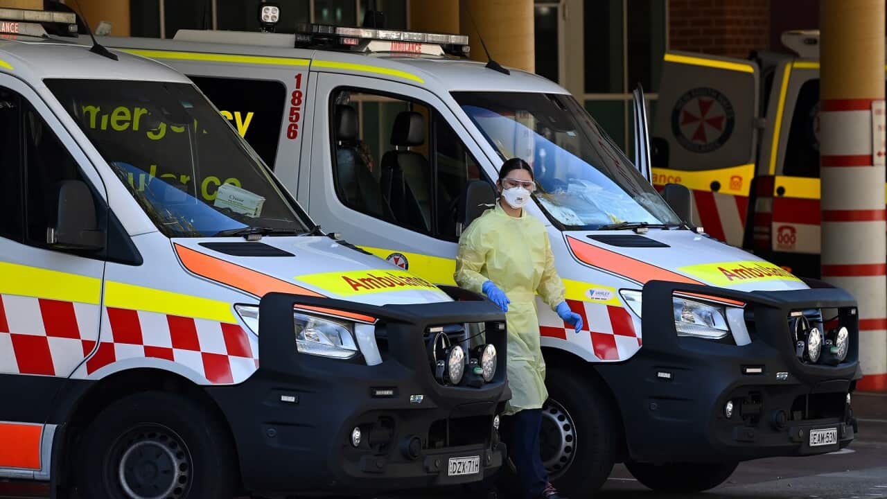 NSW CORONAVIRUS COVID19