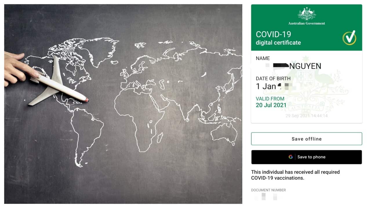 vaccine certification, airplane,