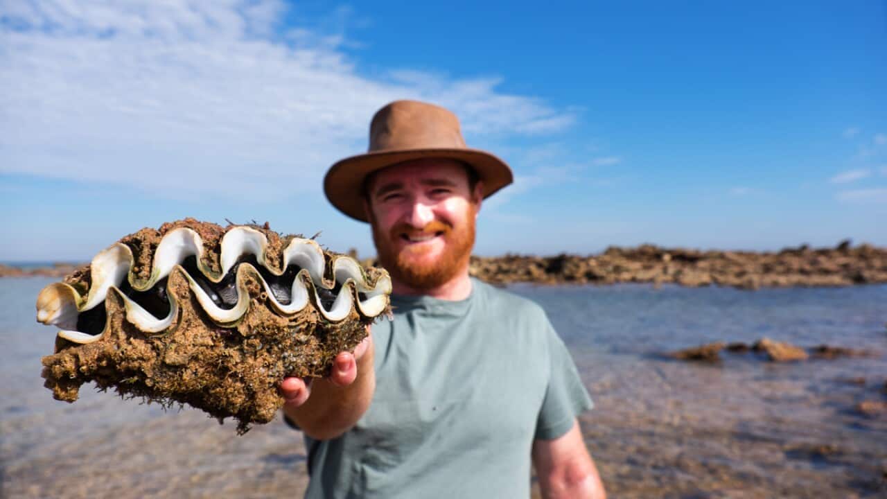 Jack Stein with a big blacklip clam at James Price Point in Broome