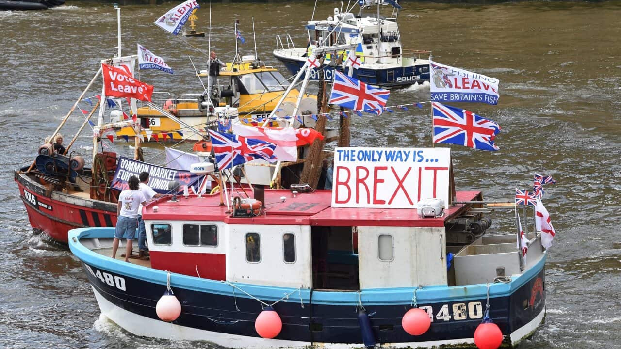 A flotilla of fishing trawlers sailed up the Thames towards Parliament in 2016 in support of the Brexit referendum.