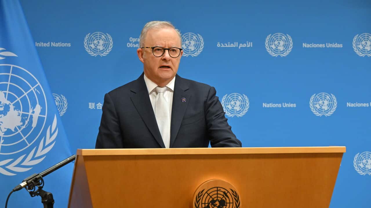 ANTHONY ALBANESE UNITED STATES VISIT