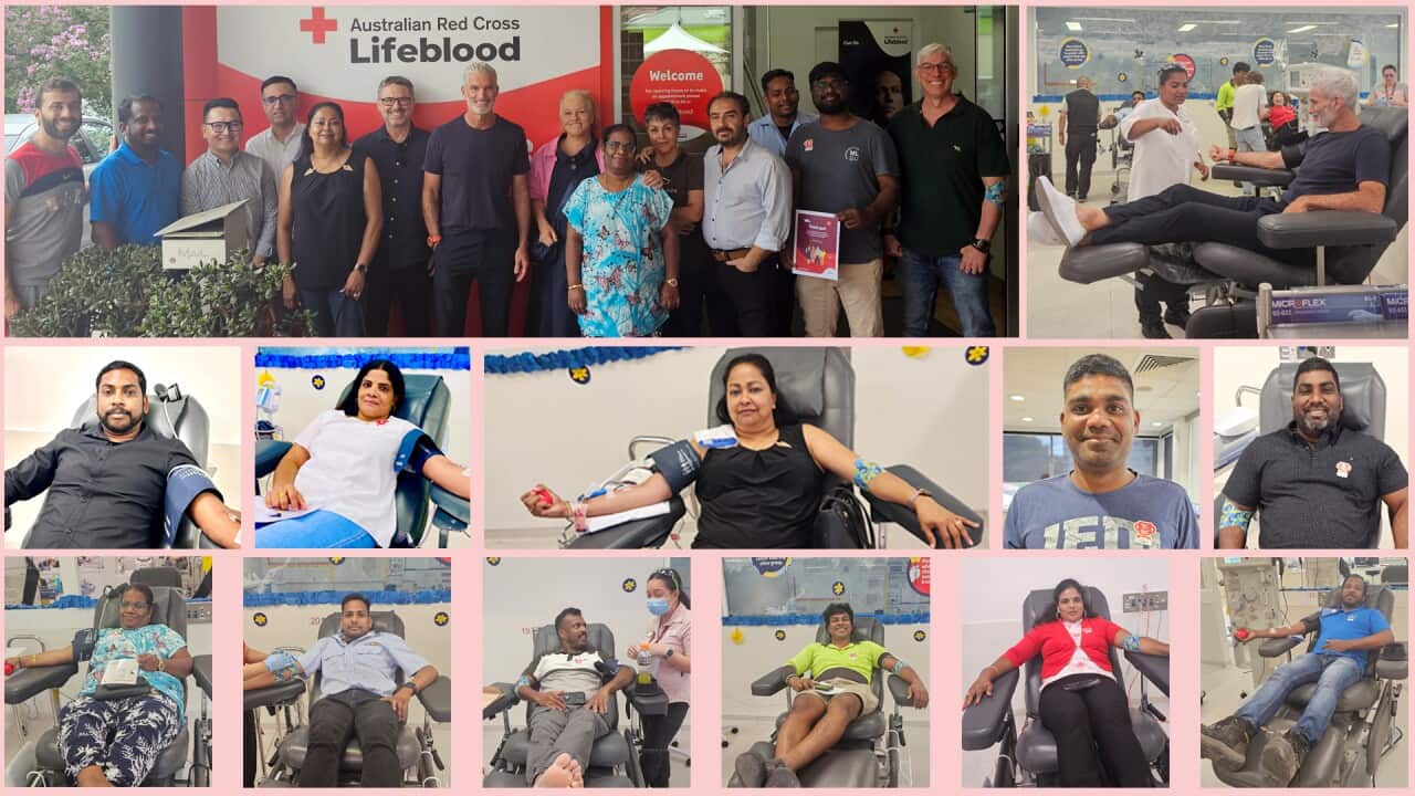 “10,000 Refugees Contributing to Australia” - Blood Donors on Valentine's Day