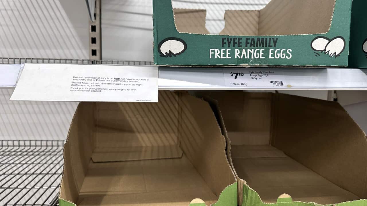 Image for read more article 'READ MORE'