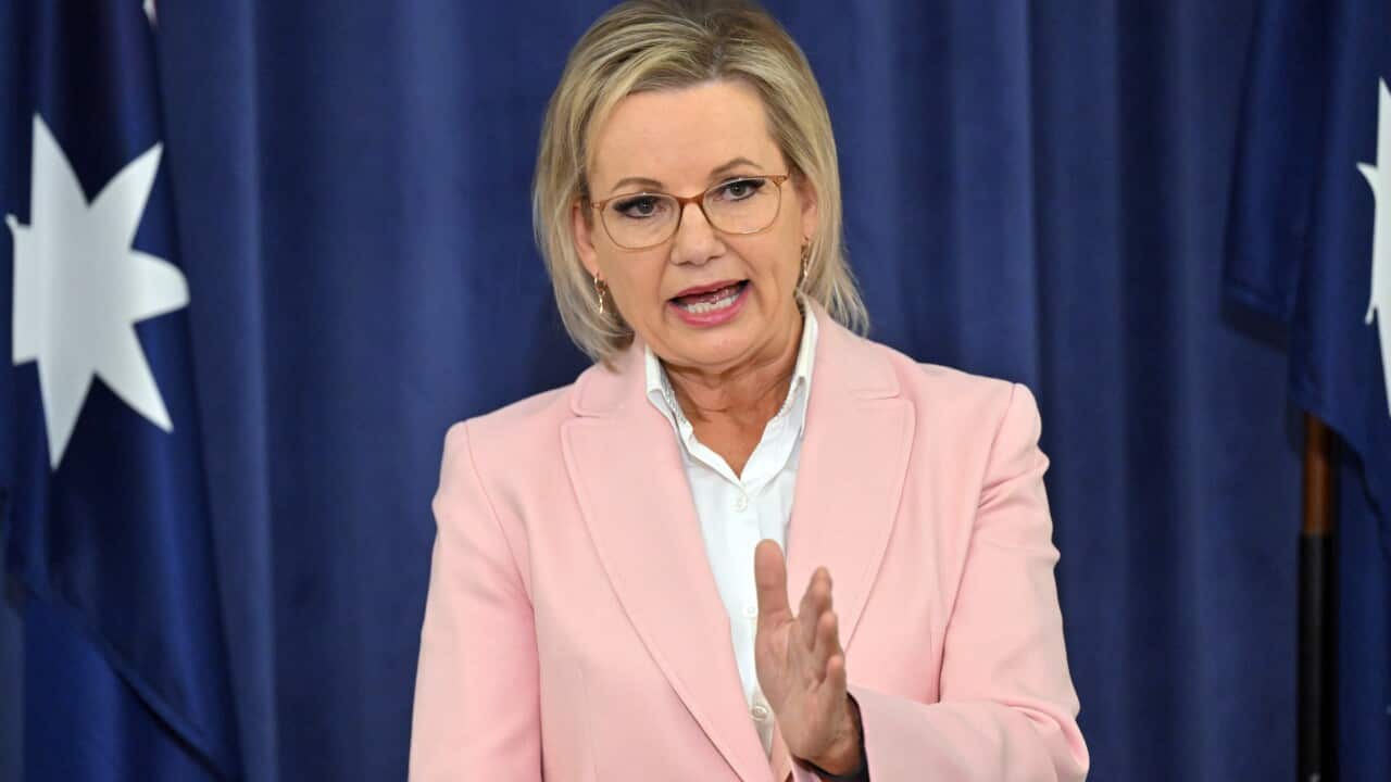 Sussan Ley stands in front of an Australian flag