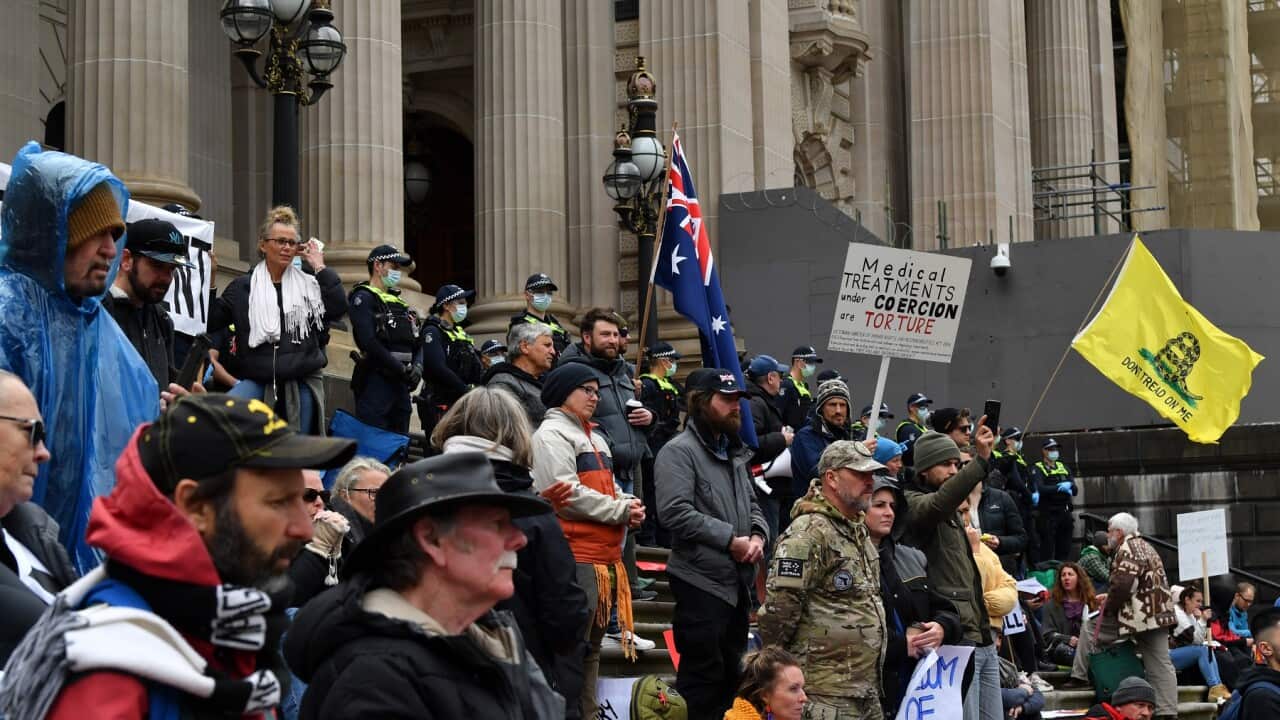 Protesters outside Victorian State Parliament in Melbourne.