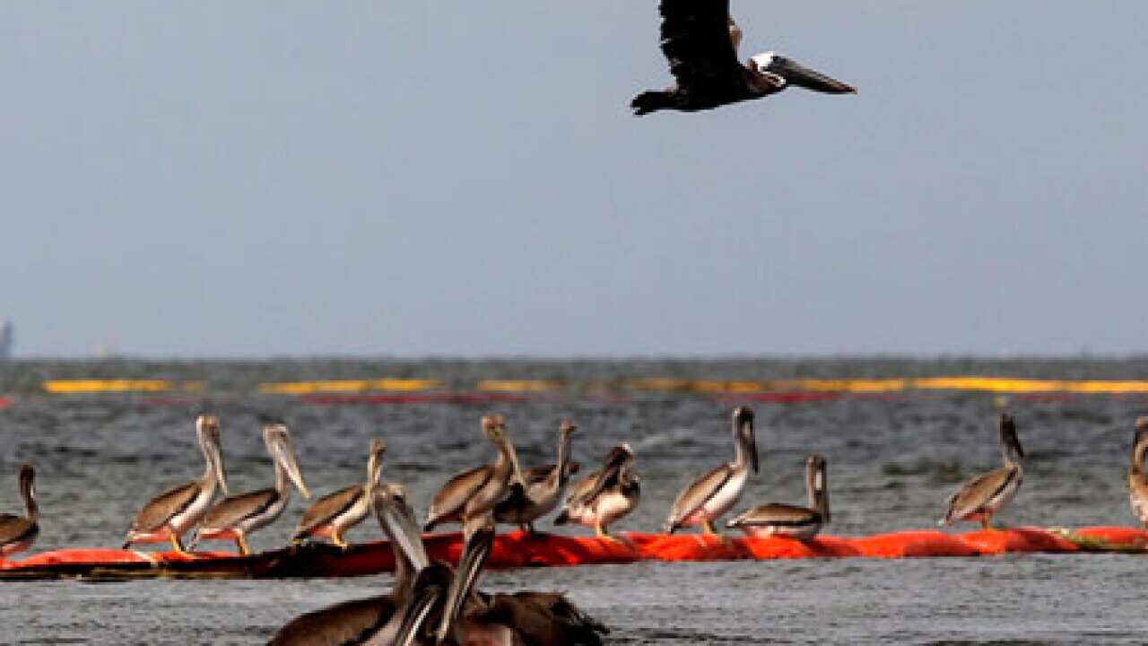 BP_disaster_100727_L_getty_488279446