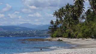 Landscape of empty island beach with seaweed washed up on the sand and palm trees.