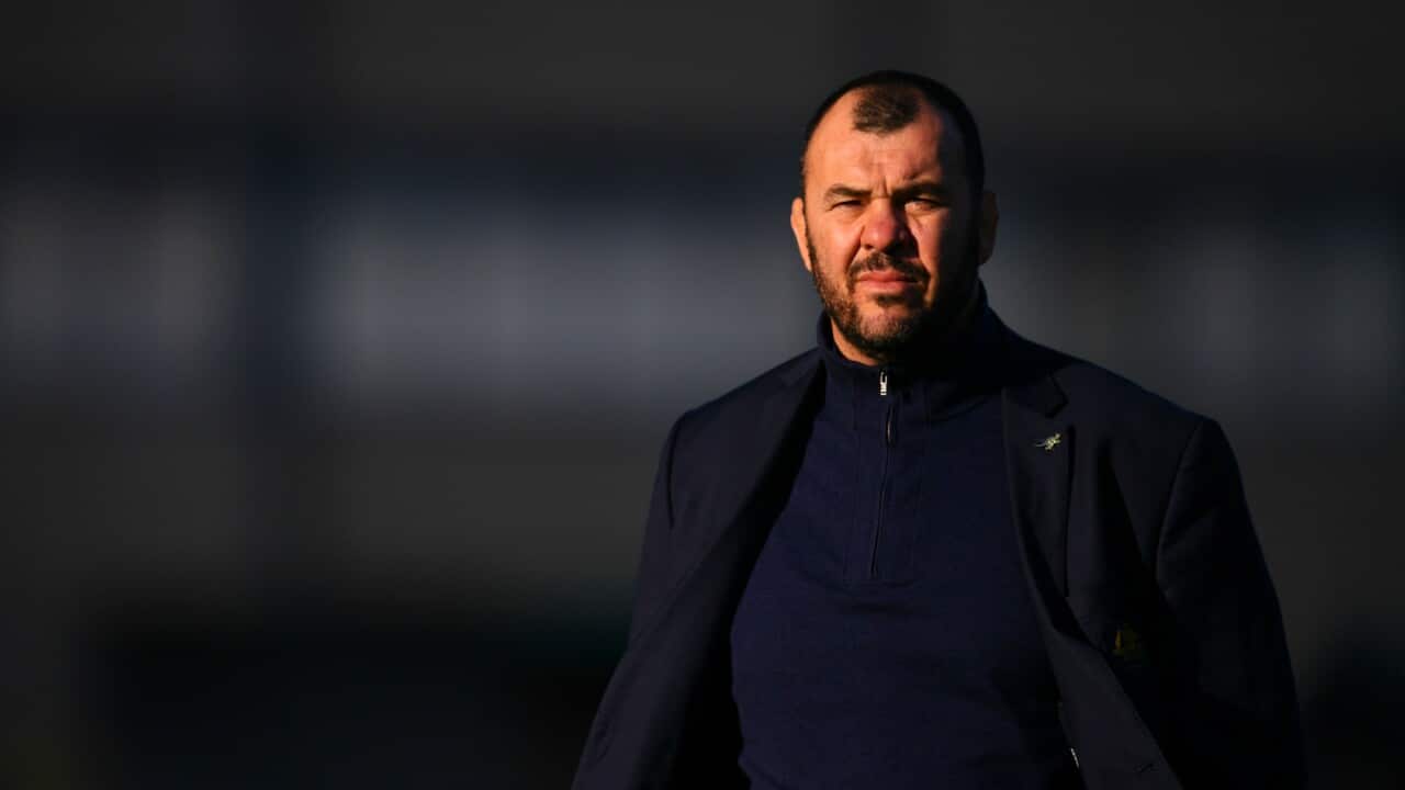 Michael Cheika